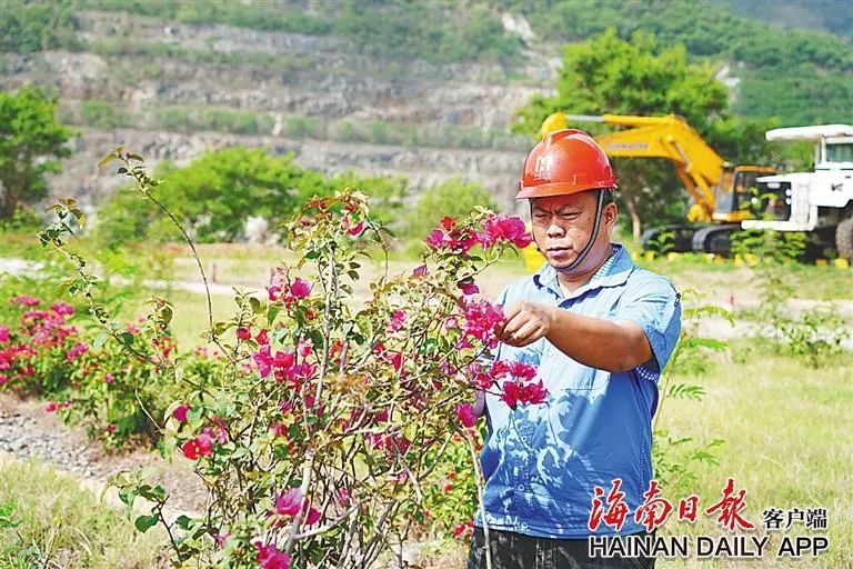 海南这座矿山，为何这么绿？4.jpg